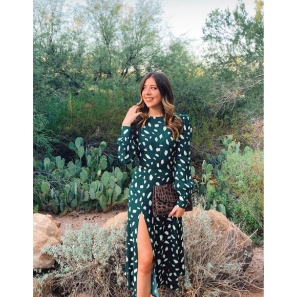 Reformation Dresses & Skirts - Reformation midi dress size 2 Creed crepe Green‎ Fen Animal print puff sleeve